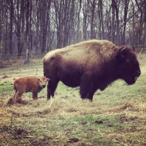 12 farms and business to participate in this year's Farm Crawl